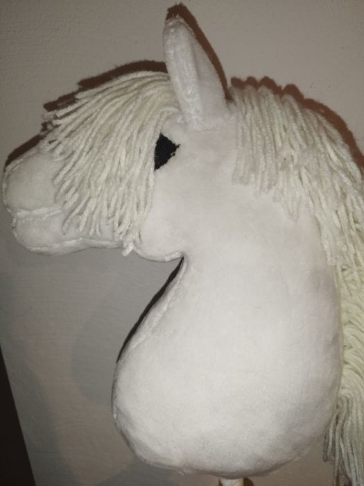 Hobby horse sport