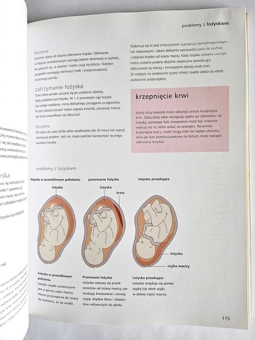 Twoja ciąża tydzień po tygodniu