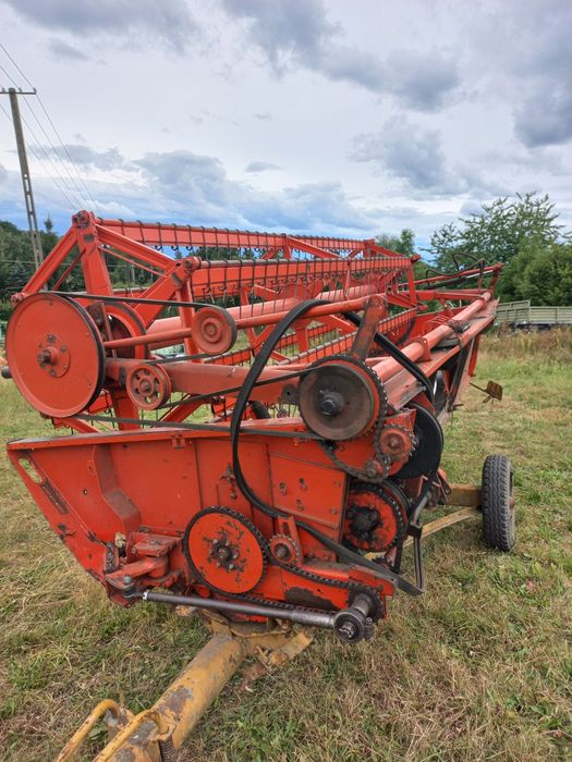 Heder bizon 88 rok