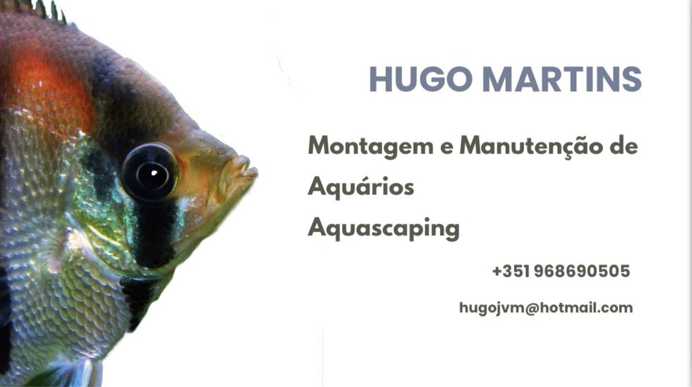 Manutencao de aquarios
