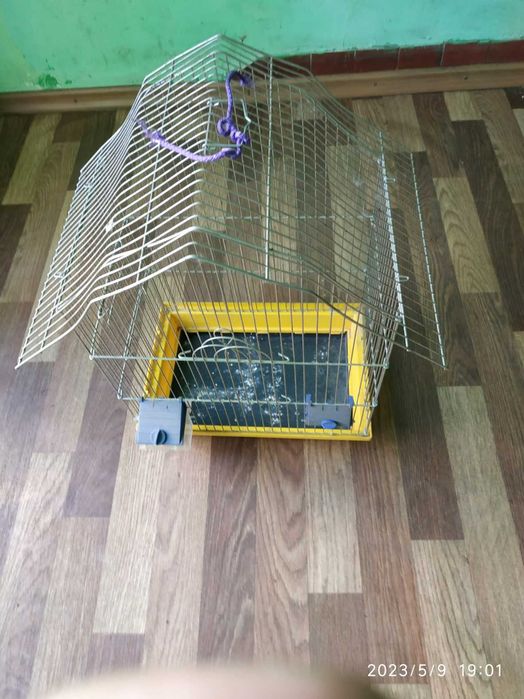Клітка для птахів