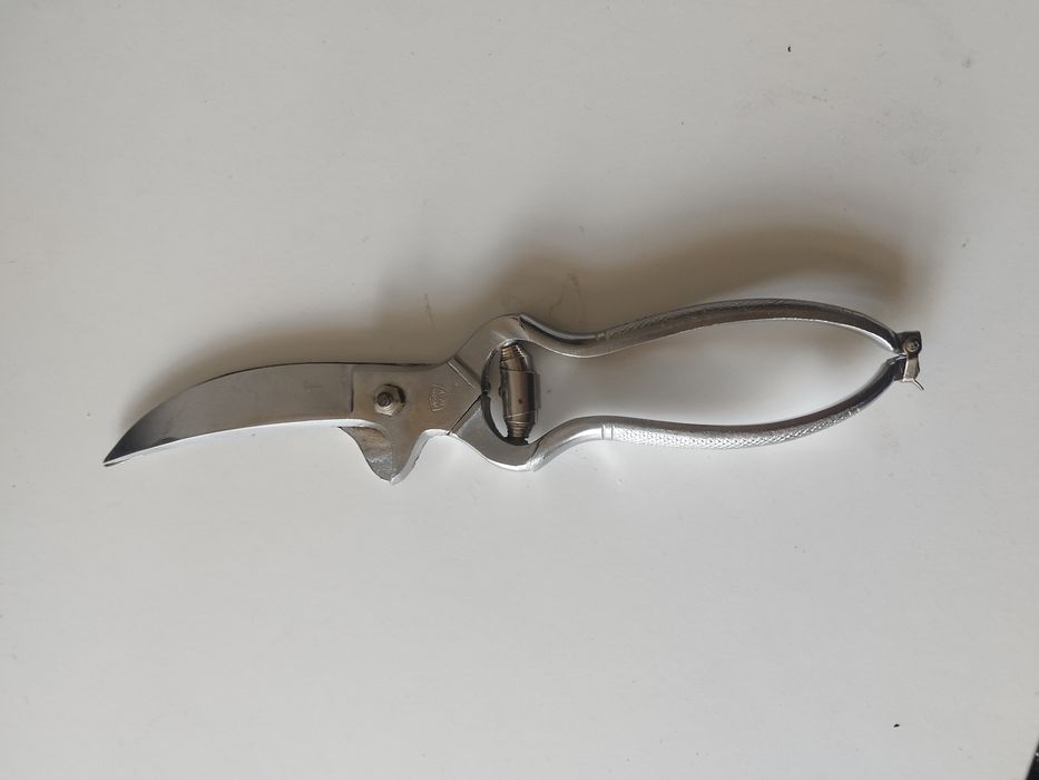 Tesoura de cozinha -p/leitao etc