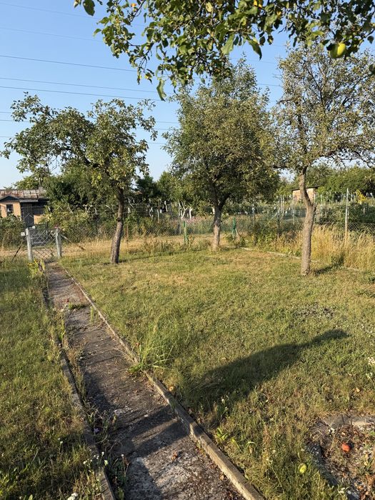 Ogród działkowy ROD - 300m2