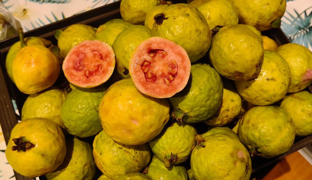 Goiaba biológica