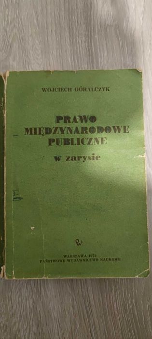 Prawo międzynarodowe publiczne w zarysie - Wojciech Góralczyk