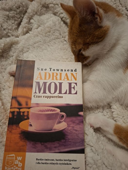 Adrian Mole Czas cappuccino
