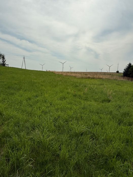 Dom – Zagórze, powiat kamieński - Widok 3