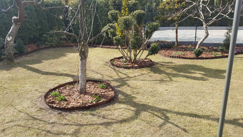 Wertykulacja i pielęgnacja trawników