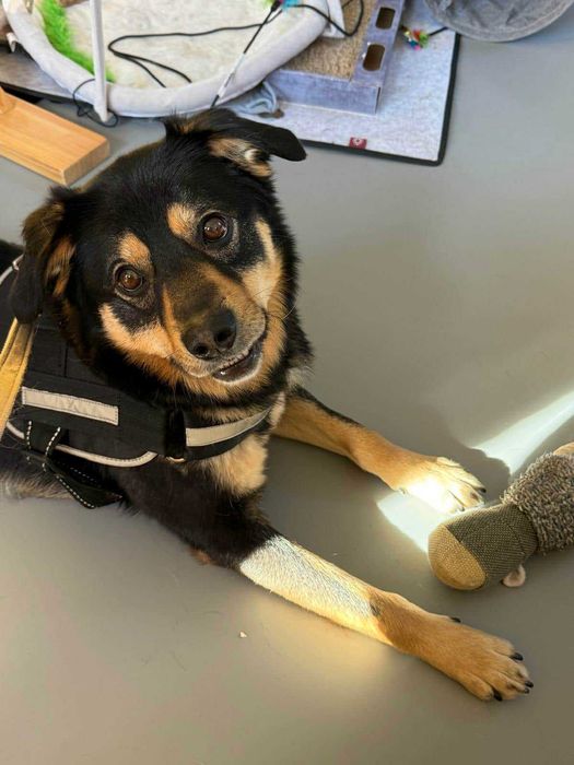 Olek .do szczęscia brakuje mu czlowieka.