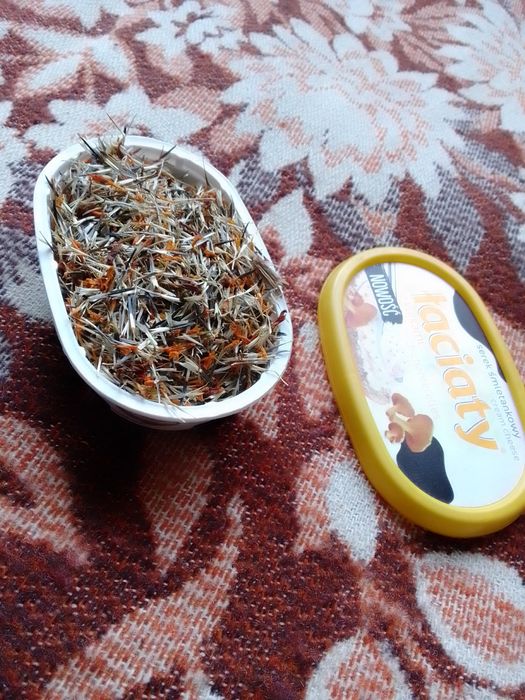 Чорнобривці матусині квіти