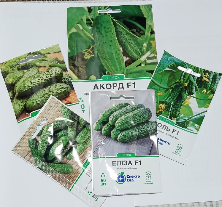 Насіння огірків, самозапильні, партернокарпічні, гібридні, семена огур