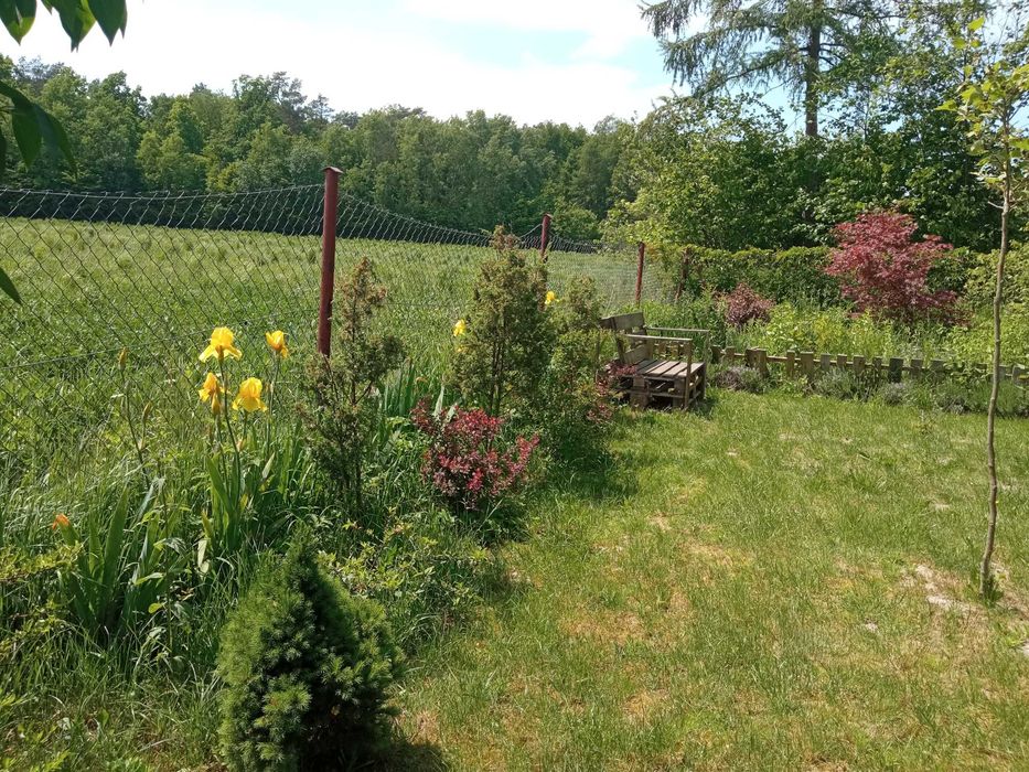 Piękna działka siedliskowa