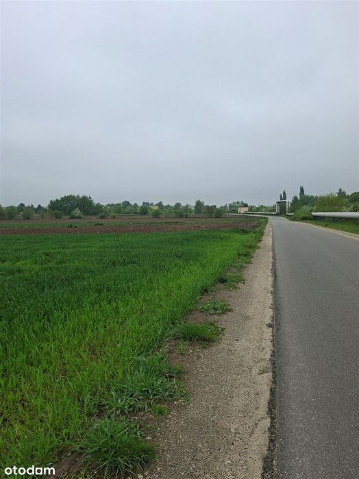 Atrakcyjna działka budowlana w Kaliszu - Widok 3