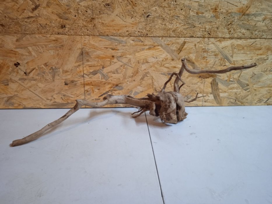 Korzeń do akwarium Red Moore Wood nr 63 o wymiarach 54/24/22