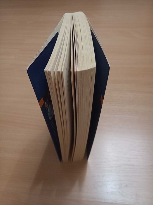 A Irmandade do Santo Sudário, Julia Navarro