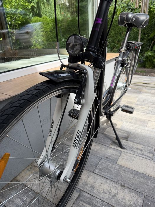 Rower miejski Pegasus