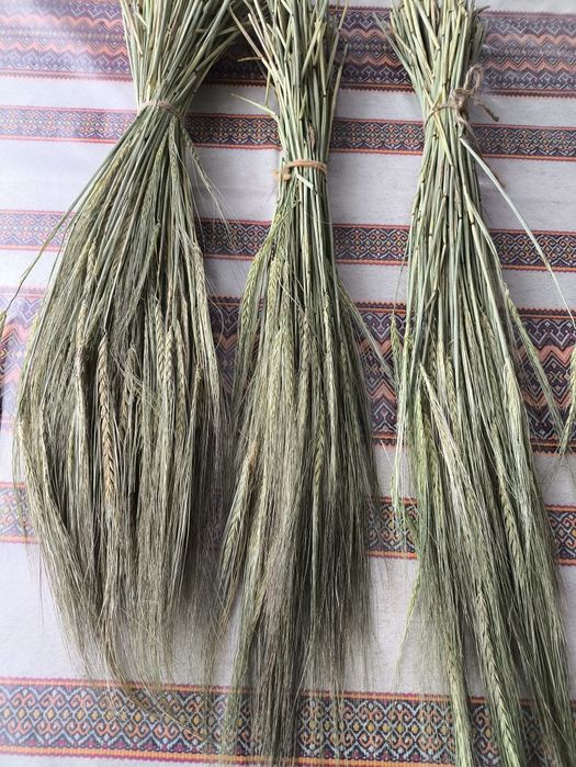 Снопи (букети) сушеного зеленого ячменю