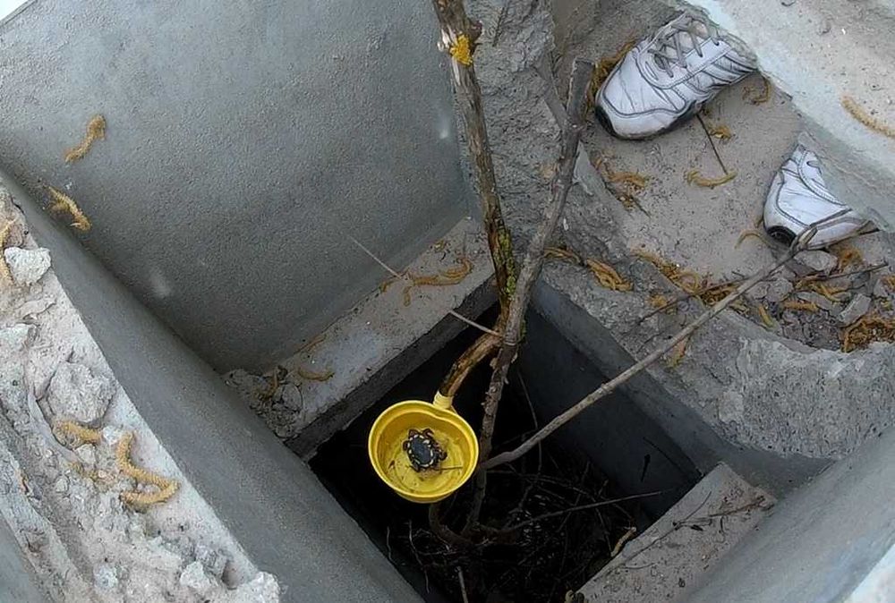 Нужно все, что связано с аквариумом, но не сам аквариум.