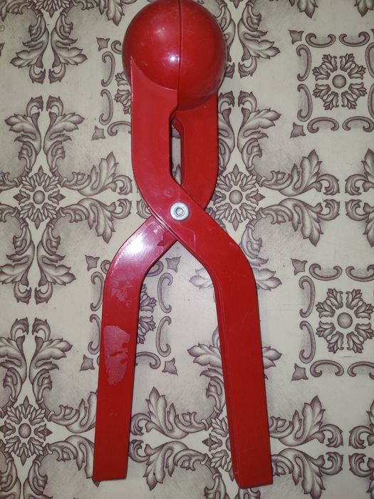 Сніжколіп дитячий