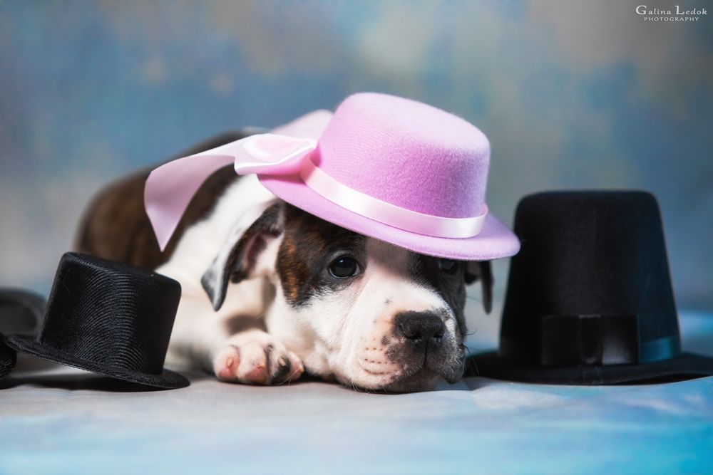 Маленькая принцесса ждёт родителей