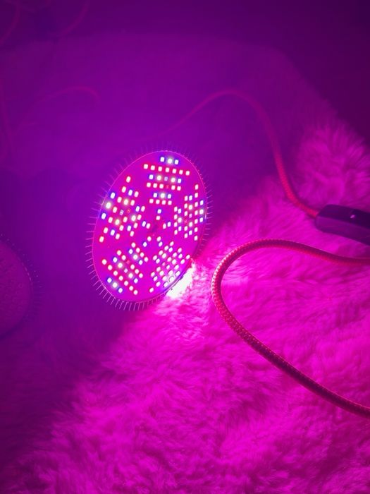 4 Lâmpadas LED Grow Light Full Spectrum PAR + 4 Cabos E27