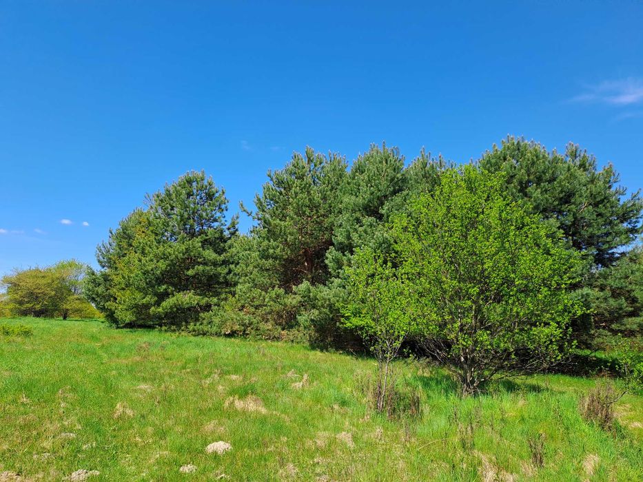 Działka Budowlana 5000 m2