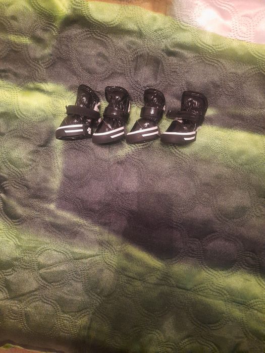 Черевички для собак