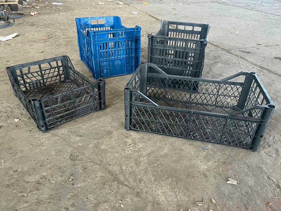 Ящик  овочевий, цитрусовий, грибний