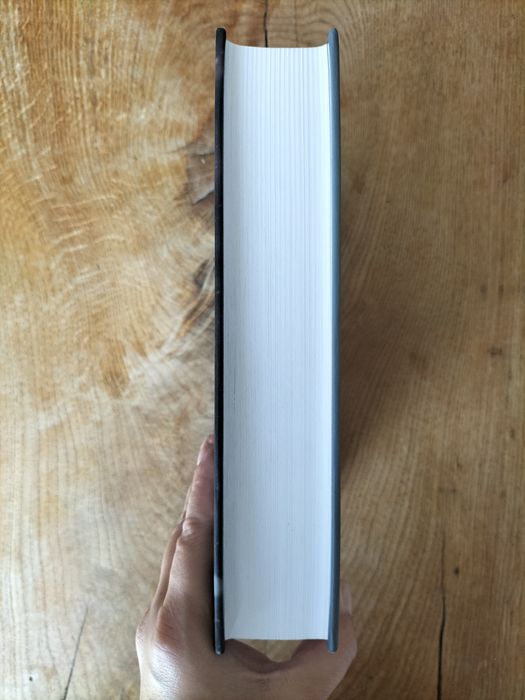 Dan Simmons "Terror" twarda okładka