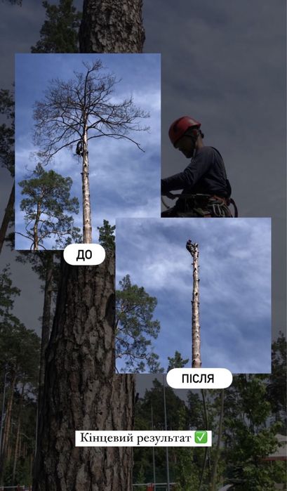 Безопасный спил, удаление, кронировка, чистка деревьев, участка, крыши