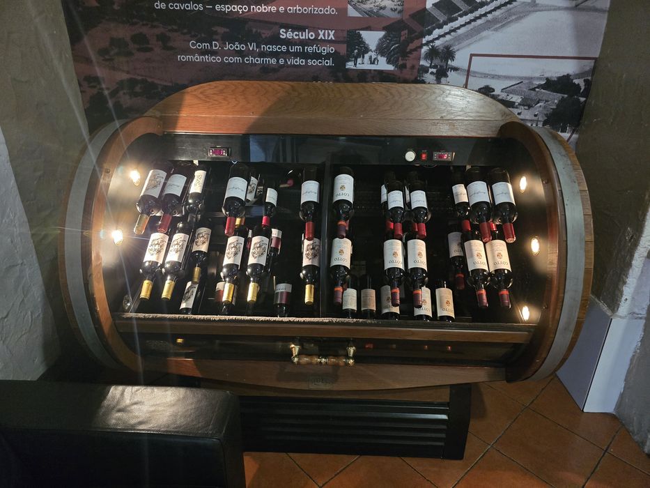 Armario refrigeração para vinhos