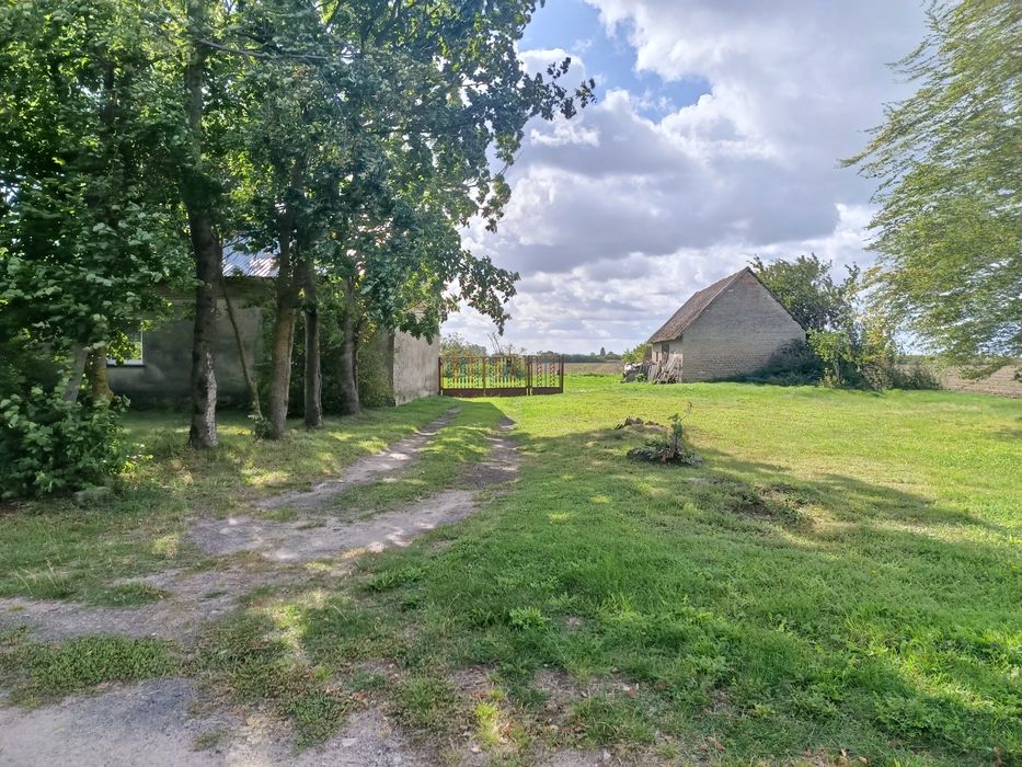 Siedlisko murowane 78m² | Działka 23 ary | Brak sąsiadów | Białe Błoto - Widok 5