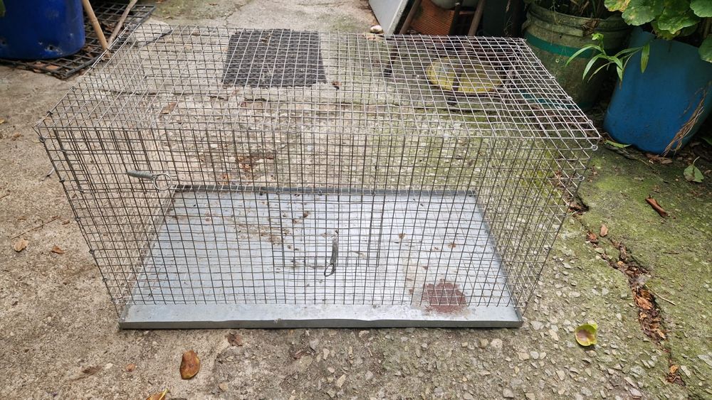 Gaiolas em rede galvanizada