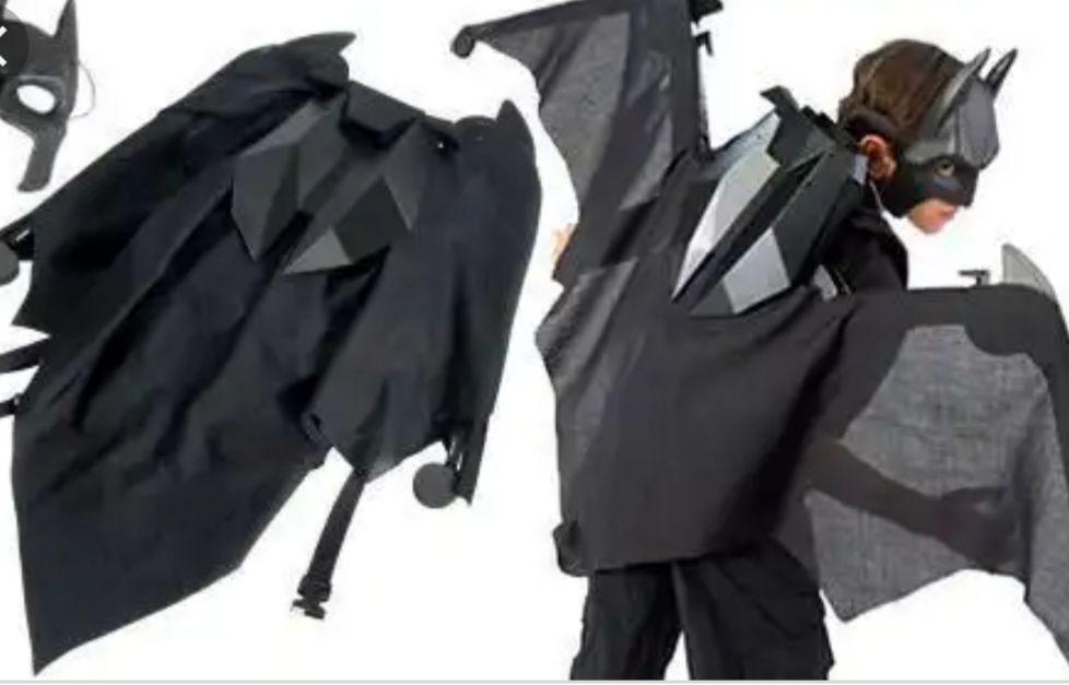 Asas robotizadas do Batman