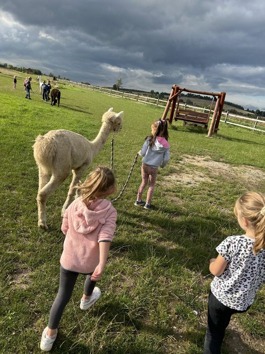 Wycieczki szkolne przedszkolne atrakcja turystyczna