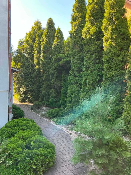 Dom – Bolesławiec - Więcej