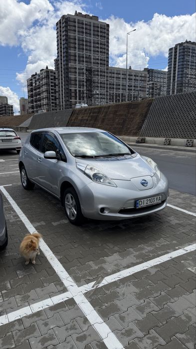 Nissan leaf по тп