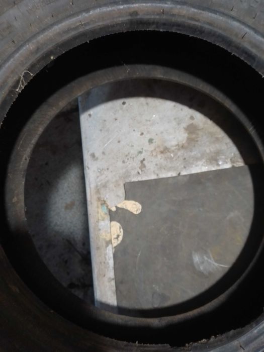 розина р 13 тунга нордвей  зимова