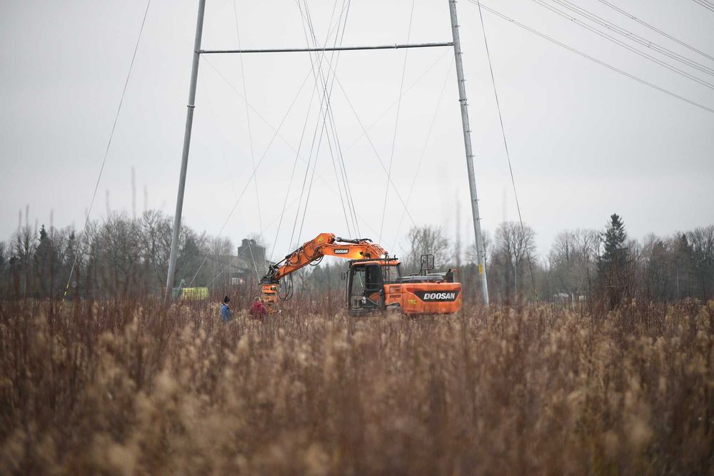 Dipperfox 850 PRO leśna frezarka do pni karczowanie usuwanie