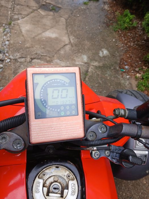 Quad bashand 300