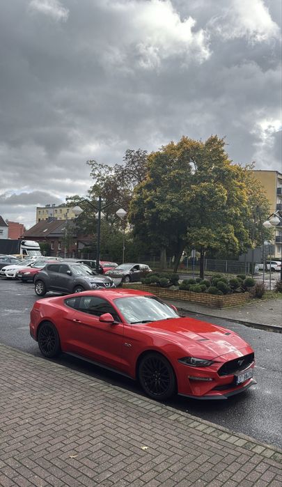 Wynajem Ford Mustang GT 5.0 V8 Automat