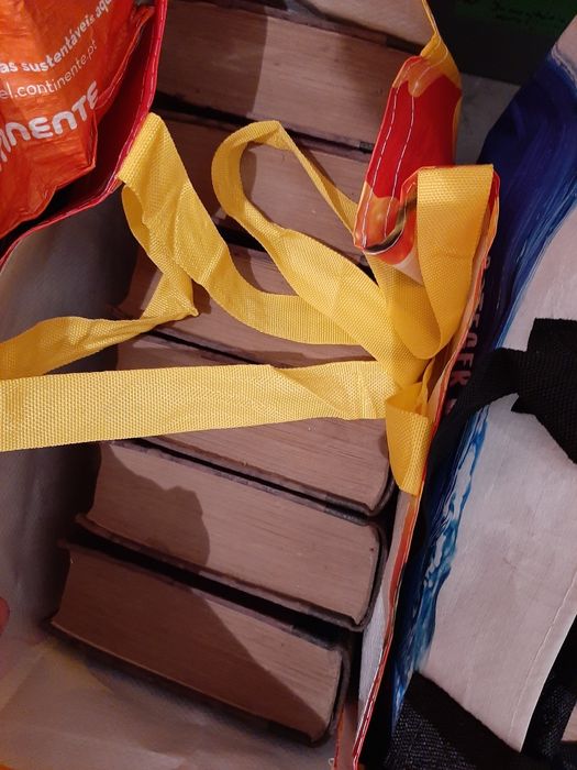 Livros - Magnifico Coleção "Biblioteca Internacional de Obras Celeres"