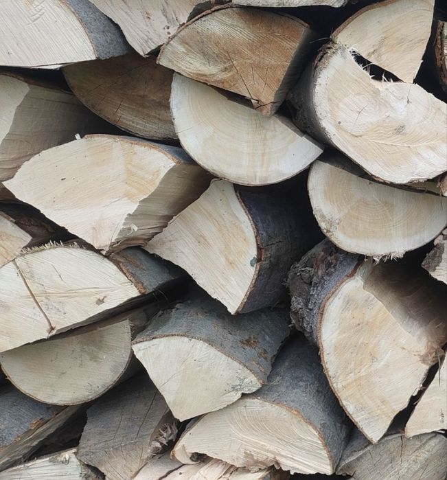 Drewno kominkowe i opałowe