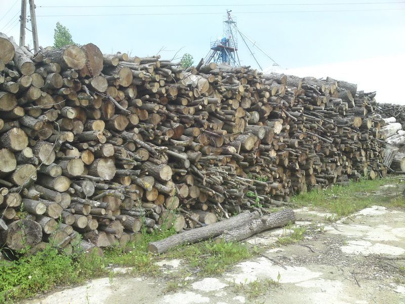 drewno liściaste opałowe