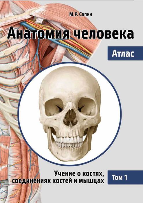 Анатомия человека. Атлас. Том 1. Учение о костях, соединениях костей