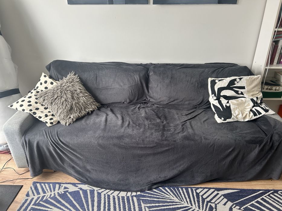 Kanapa rozkladana - kanapa 21.01. Idzie na smietnik