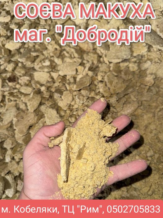 Макуха сира смажена жарена шрот соєва продаж жом цукор соняшниковий шр