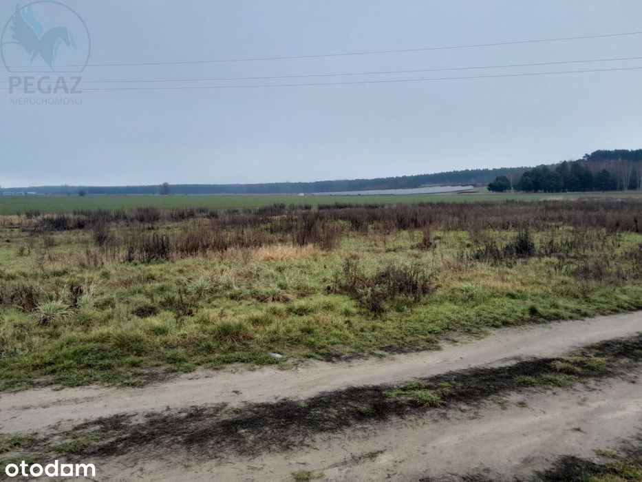 Działka budowlana Kuźnik Ostatnia