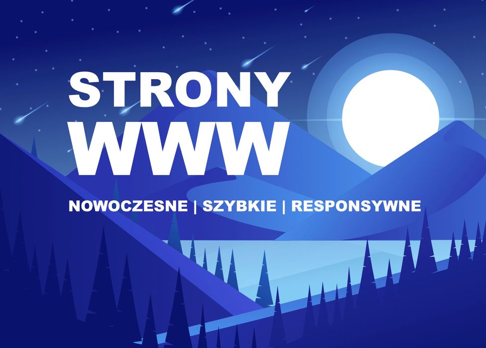 Strony WWW | Projektowanie stron internetowych | Sklepy internetowe