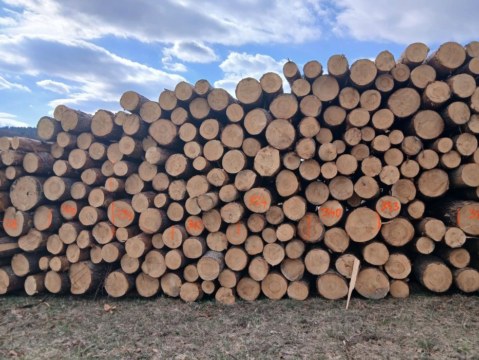 Sosna wałki paletowe ,paletówka , palety .